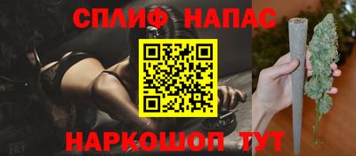 прущие грибы Обнинск