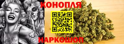 прущие грибы Обнинск