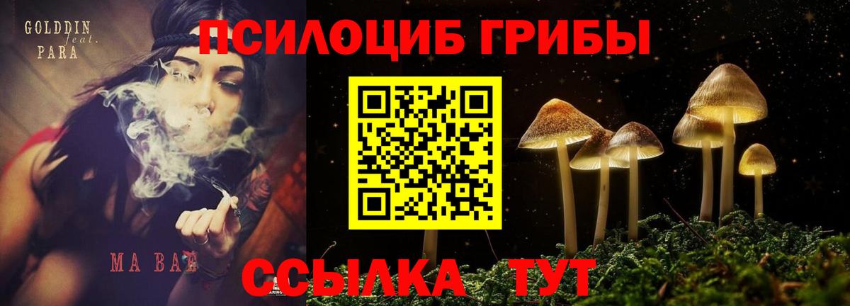 Унеча  Галлюциногенные грибы Psilocybine cubensis  продажа наркотиков  Вход с VPN 